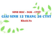 Giải Sinh 12 trang 26 Chân trời Sáng tạo